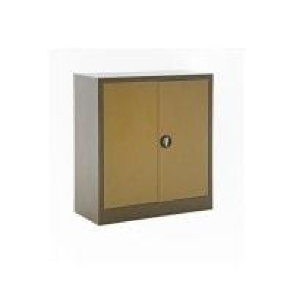 Metal Dosya Dolabı 100'lük